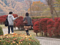 画像0015