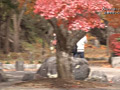 画像0019