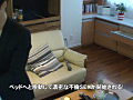 画像0041