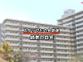 画像0066