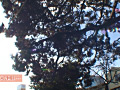 画像0062