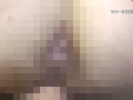 Digest Image 33
