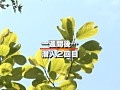 画像0028