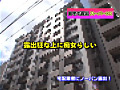 画像0194