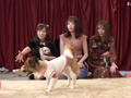 人気AV女優が愛犬と大集合！完全版 サンプル画像5