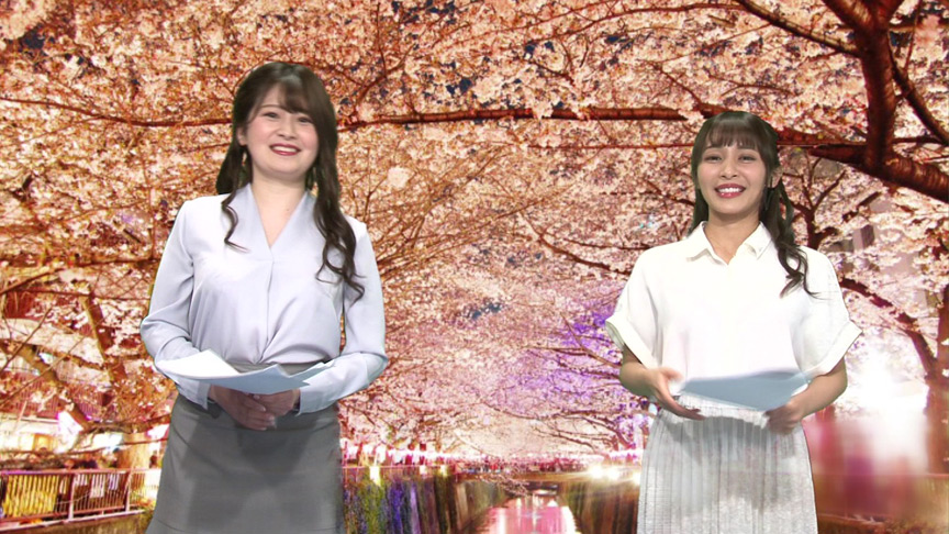 女子アナ桜を見る会！花よりチンコでイキまくり！ | QMK-アダルト動画NAVI