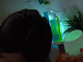 画像0184