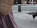 画像0235