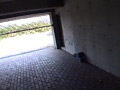 画像0101