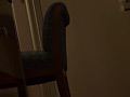 Digest Image 7