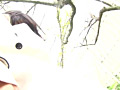 画像0041
