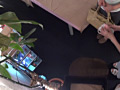 画像0145