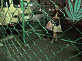 画像0120