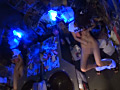 画像0199