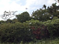 画像0064