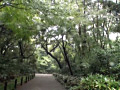 画像0131