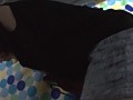 画像0186