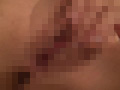 Digest Image 47
