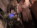画像0091