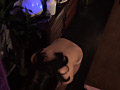 画像0177