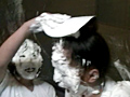 [piethrowing-0039] 女だらけのパイ投げ大会 VOL.27のキャプチャ画像 4