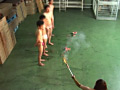 画像0396