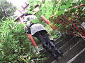 画像0242