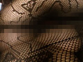 画像0083