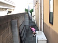 画像0052