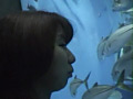 画像0033