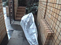 画像0237