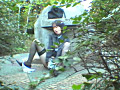画像0251
