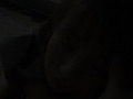 画像0272
