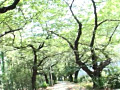 画像0149