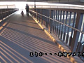 画像0300