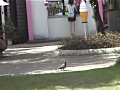 画像0193