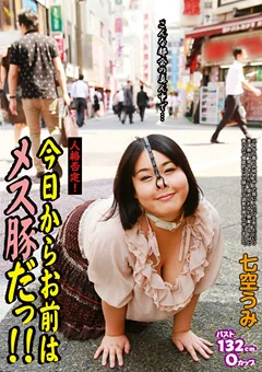 人格否定！ 今日からお前はメス豚だっ！！ 七空うみ