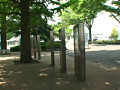 Digest Image 1