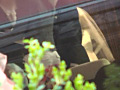 Digest Image 4