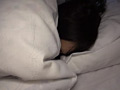 画像0095