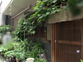 画像0146