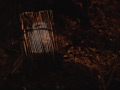 Digest Image 41