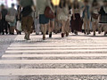 画像0057