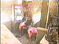 [pumps-0087] 顔に座ってスロットマシンをする女の子のキャプチャ画像 3