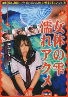 女体の雫 濡れアクメ 向坂美々