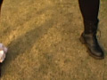 画像0366