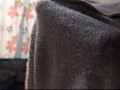 画像0105