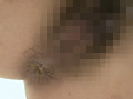 画像0123