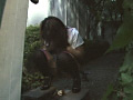 画像0148