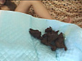 画像0036